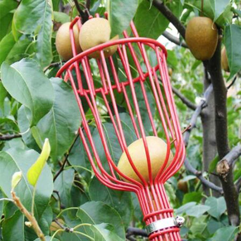 Gardening Tools Basket - ディープバスケットフルーツピッカーヘッドポータブル空中収穫器柑橘類梨りんご庭園収穫ピッキングツールアクセサリー