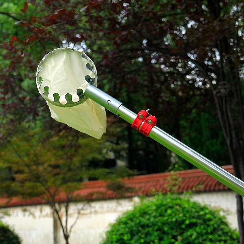 金属製フルーツ収穫用バスケットヘッドアタッチメント、ガーデン - Gardening Tools Basket のレビューと価格