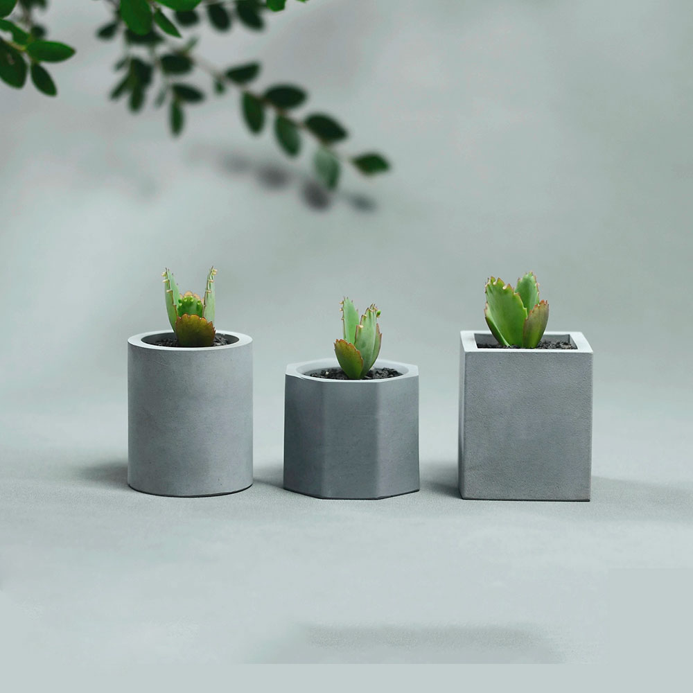 DIyシリコンプラントモールド,眠っている美しさの花瓶,収納 - Gardening Tools Cute のレビューと価格
