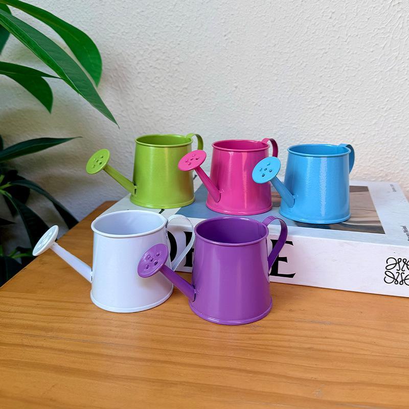 ミニじょうろ金属製ヴィンテージ長注ぎ口小型ポット屋内植物家の - Watering Can Long Spout のレビューと価格