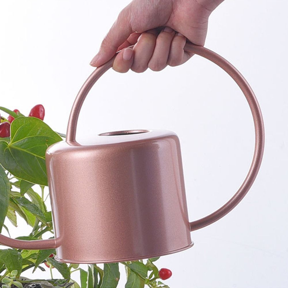 u レトロ 1.3L 植物散水ケトル 大容量ステンレス鋼じょ - Watering Can Long Spout のレビューと価格