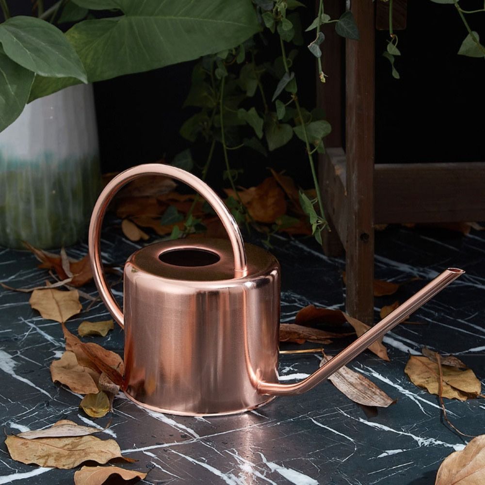 u レトロ 1.3L 植物散水ケトル 大容量ステンレス鋼じょ - Watering Can Long Spout のレビューと価格