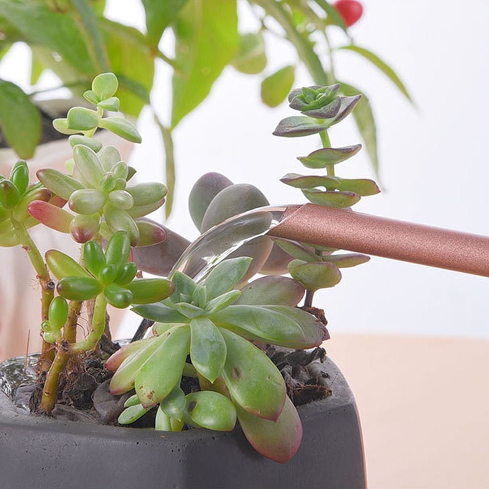 u レトロ 1.3L 植物散水ケトル 大容量ステンレス鋼じょ - Watering Can Long Spout のレビューと価格