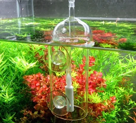 Viv do-魚や植物用の溶解酸素シリンダー、クリスタルガラ - Aquaponics Fish Tank のレビューと価格