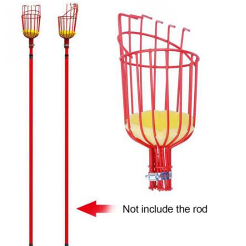 ディープバスケットフルーツピッカーヘッドポータブル空中収穫器 - Gardening Tools Basket のレビューと価格
