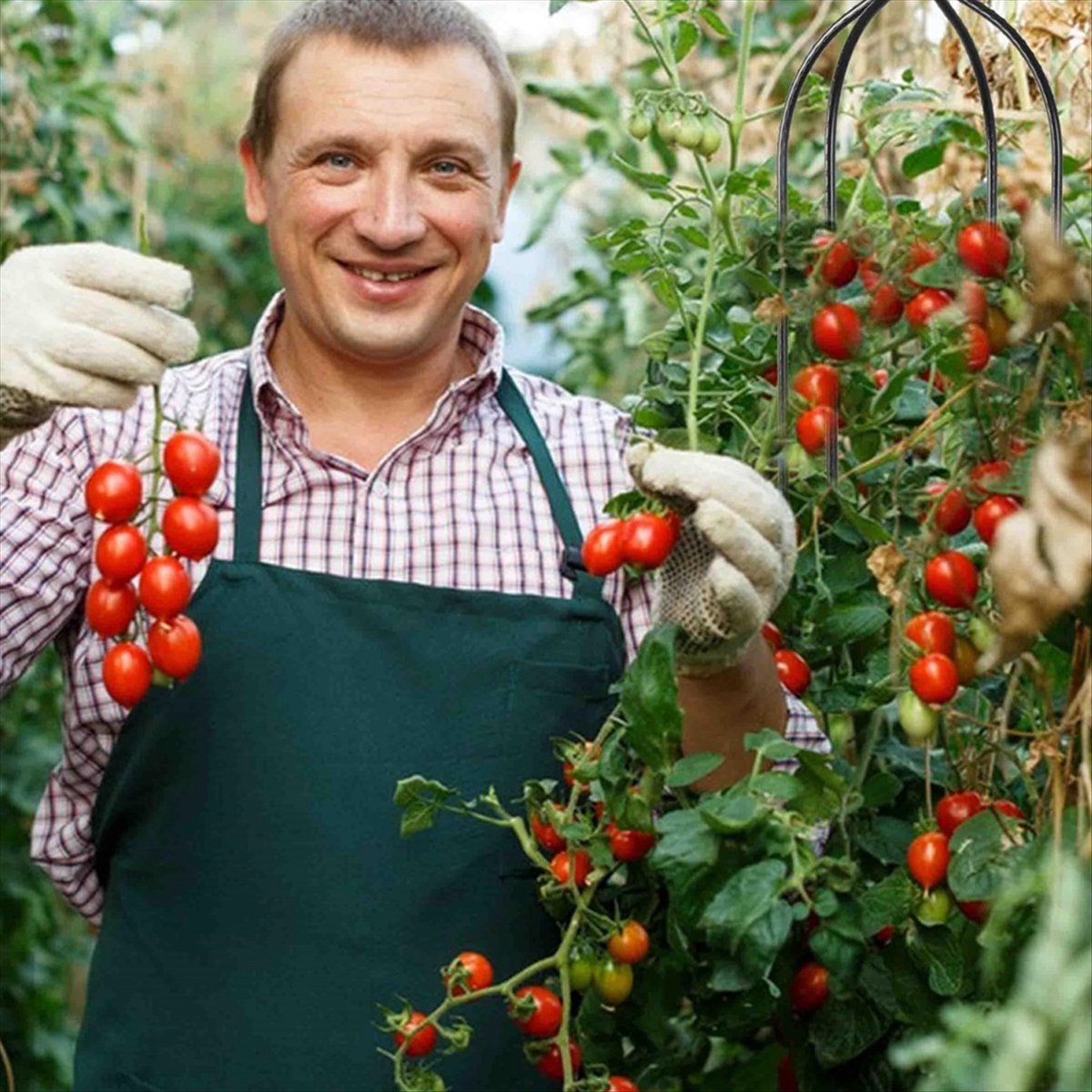 AT16 つる性植物用オベリスクトレリス、ガーデントレリス、 - Gardening Tools B&Q のレビューと価格
