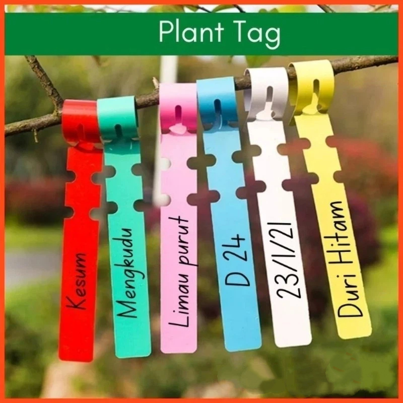 植物タグ / 植木の識別タグ / ガーデニングラベル / 庭 - Plant Label Tags のレビューと価格