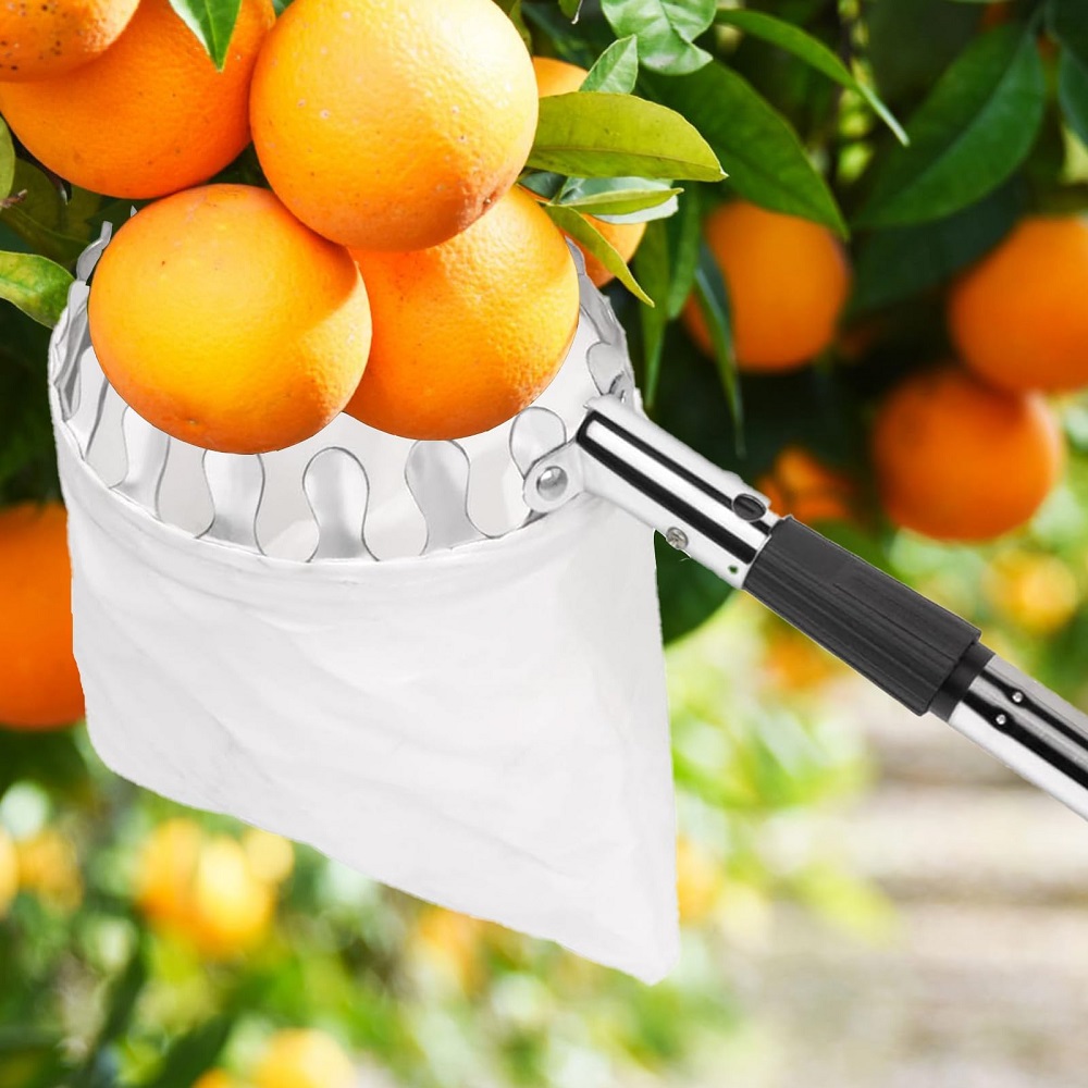 フルーツピッカーポール バスケット付き 伸縮式 3.2M ス - Gardening Tools Basket のレビューと価格