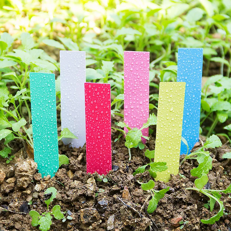 100個厚い4インチ植物ラベル再利用可能なプラスチックロング - Plant Label Tags のレビューと価格