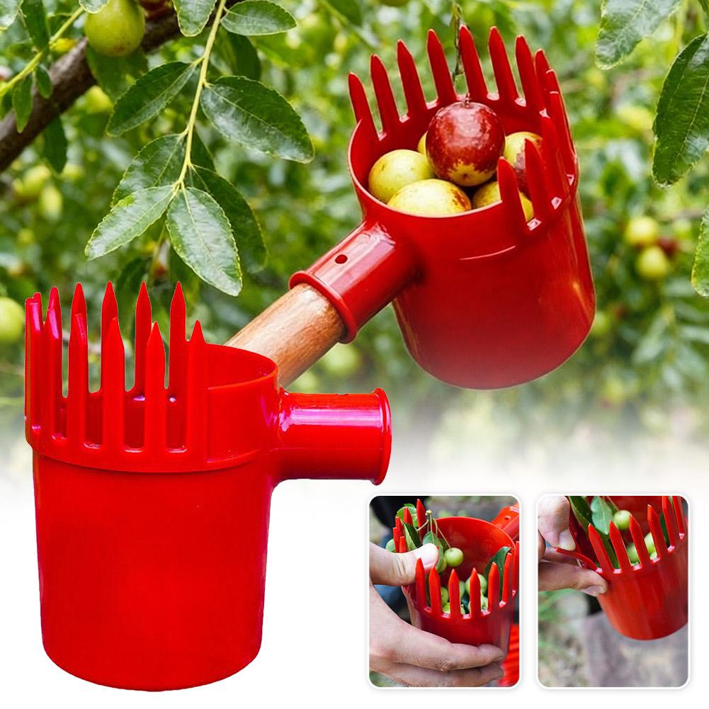 フルーツピッカーツールポータブルバスケットヘッド高木収穫機ア - Gardening Tools Basket のレビューと価格