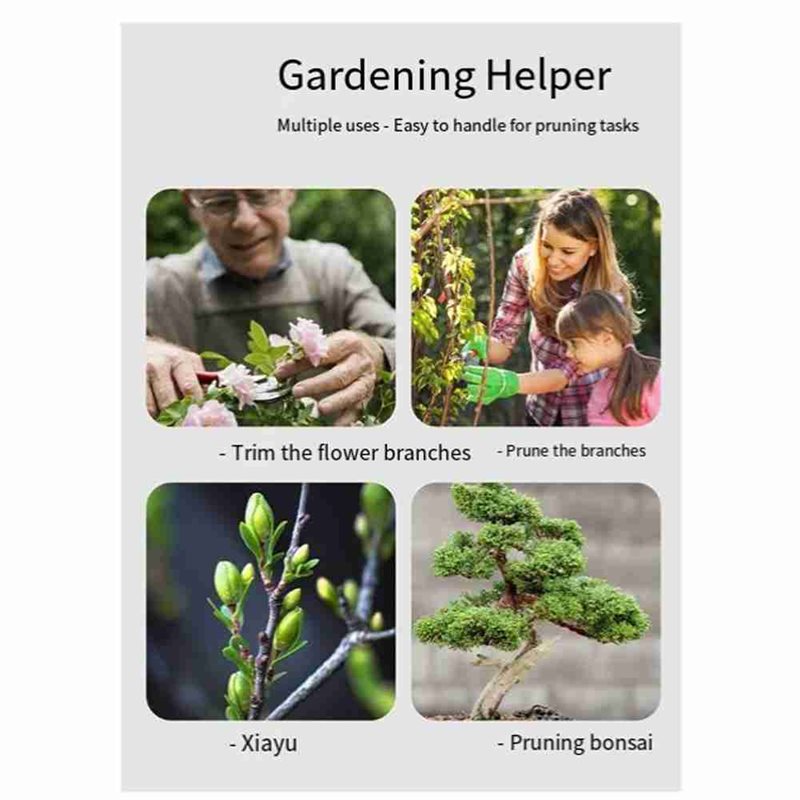 ABGH-盆栽ツール、4ピース盆栽ツールセット-ナイフカッタ - Bonsai Tool Set のレビューと価格
