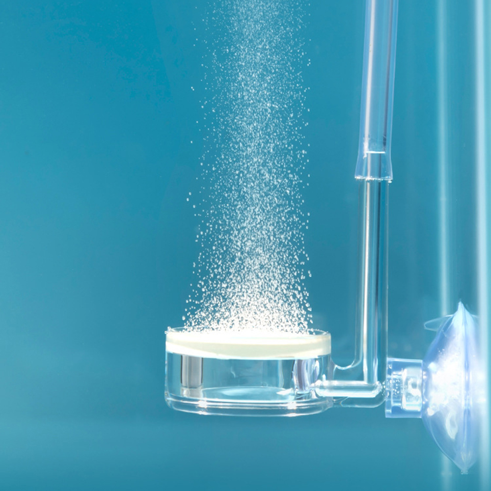 水族館の植物用ディフューザー1個、クリアCO2アトマイザー水 - Aquaponics Fish Tank のレビューと価格