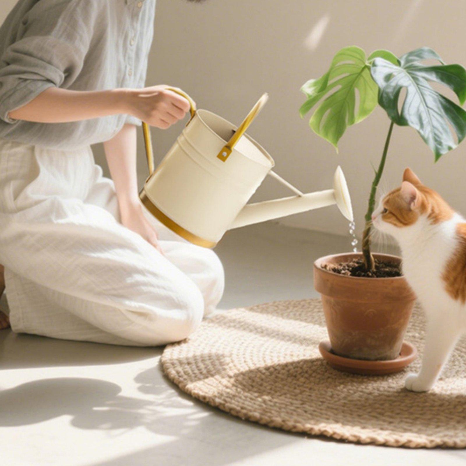 長い注ぎ口の水まき缶、漏れ防止金属製水まきポット、バルコニー - Watering Can Long Spout のレビューと価格