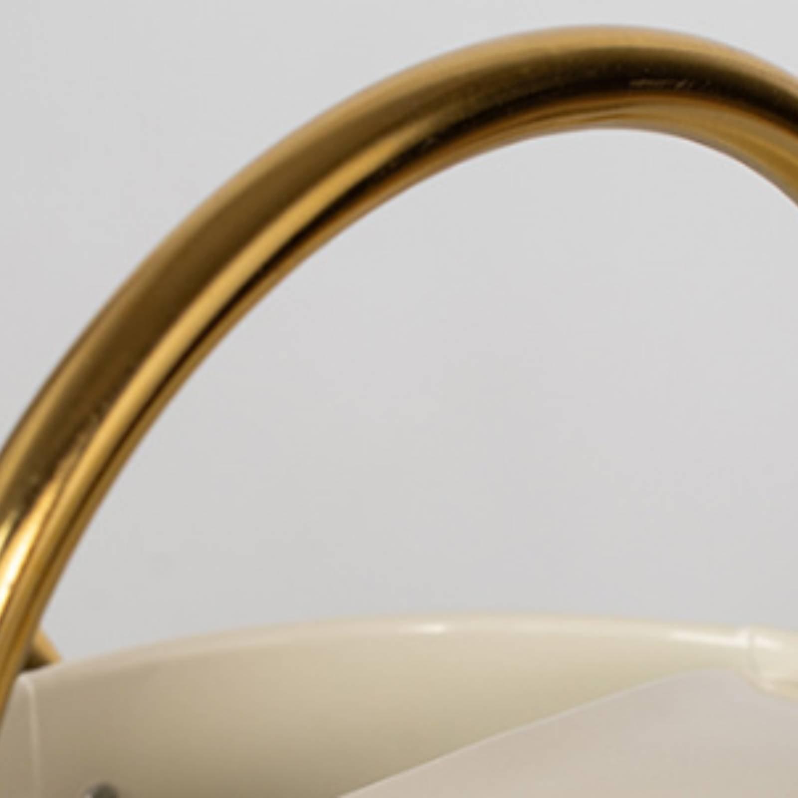 長い注ぎ口の水まき缶、漏れ防止金属製水まきポット、バルコニー - Watering Can Long Spout のレビューと価格