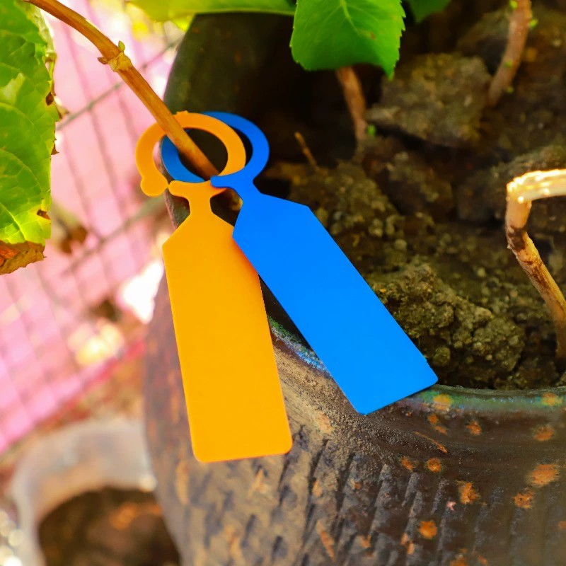 100 個リング型植物タグプラスチック防水吊り下げラベルブド - Plant Label Tags のレビューと価格