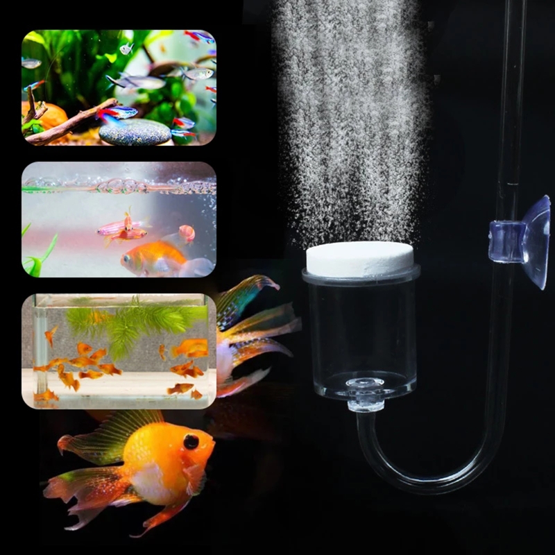 水族館用CO2ディフューザー,日曜大工のガラスタンク,バブル - Aquaponics Fish Tank のレビューと価格